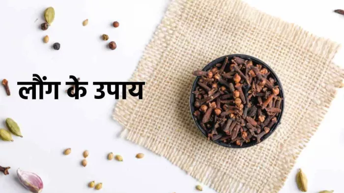 Laung Ke Upay: लौंग के इन उपाय से मिलेगा धन का लाभ, मां लक्ष्मी होंगी प्रसन्न