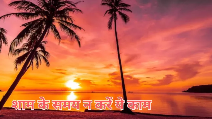 Vastu Tips: शाम के समय न करें ये काम