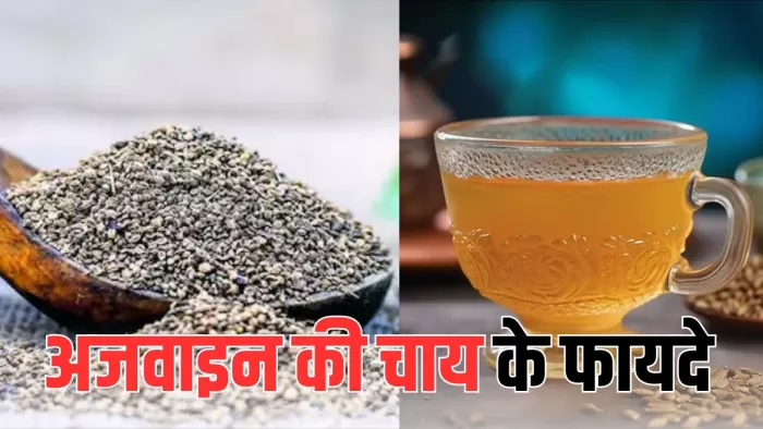 अजवाइन की चाय से करें अपनी बॉडी डिटॉक्स (Picture Courtesy: Freepik)