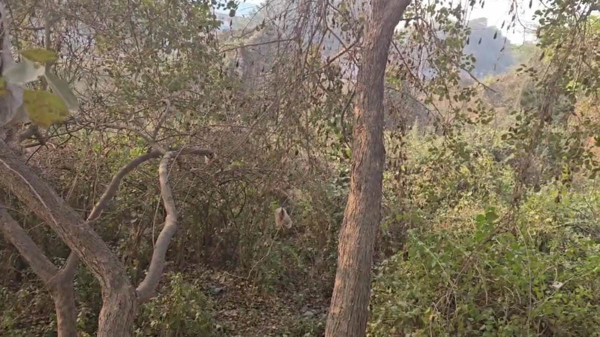 https://www.jagranimages.com/images/newimg/05012025/05_01_2025-delhi_dead_body_found_23861612.jpg