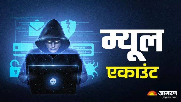एक हजार म्यूल खातों की जांच शुरू