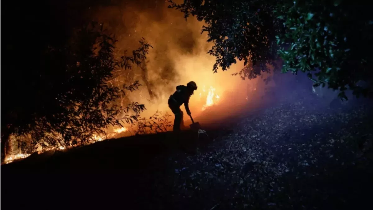 चिली के जंगलों की आग में 23 लोगों ने गंवाई जान।