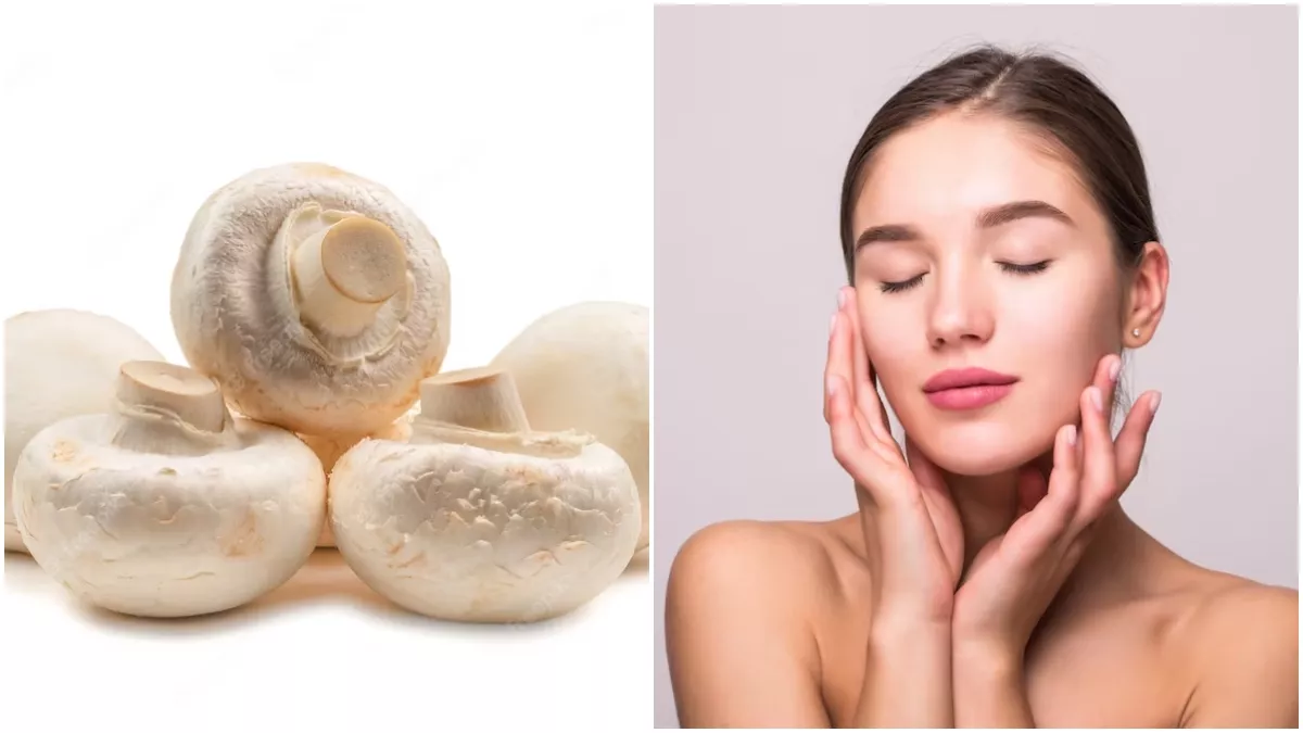 Mushroom Skincare: मशरूम में हैं जादूई गुण जो आपकी त्वचा पर कर सकते हैं चमत्कार, जानें
