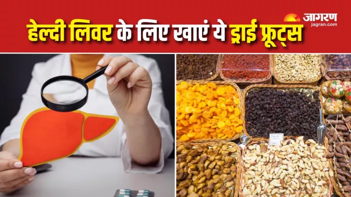 लिवर को कई तरह से हेल्दी रखने में मदद करते हैं ड्राई फ्रूट्स (Picture Courtesy: Freepik)