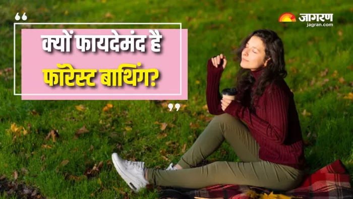 क्या होती है शिनरिन-योकू तकनीक? (Picture Courtesy: Freepik)