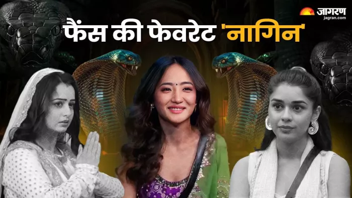 इस एक्ट्रेस को नागिन 7 में देखना चाहते हैं फैंस/ फोटो- Jagran Graphics