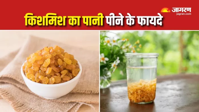 अमृत से कम नहीं है किशमिश का पानी (Picture Courtesy: Freepik)