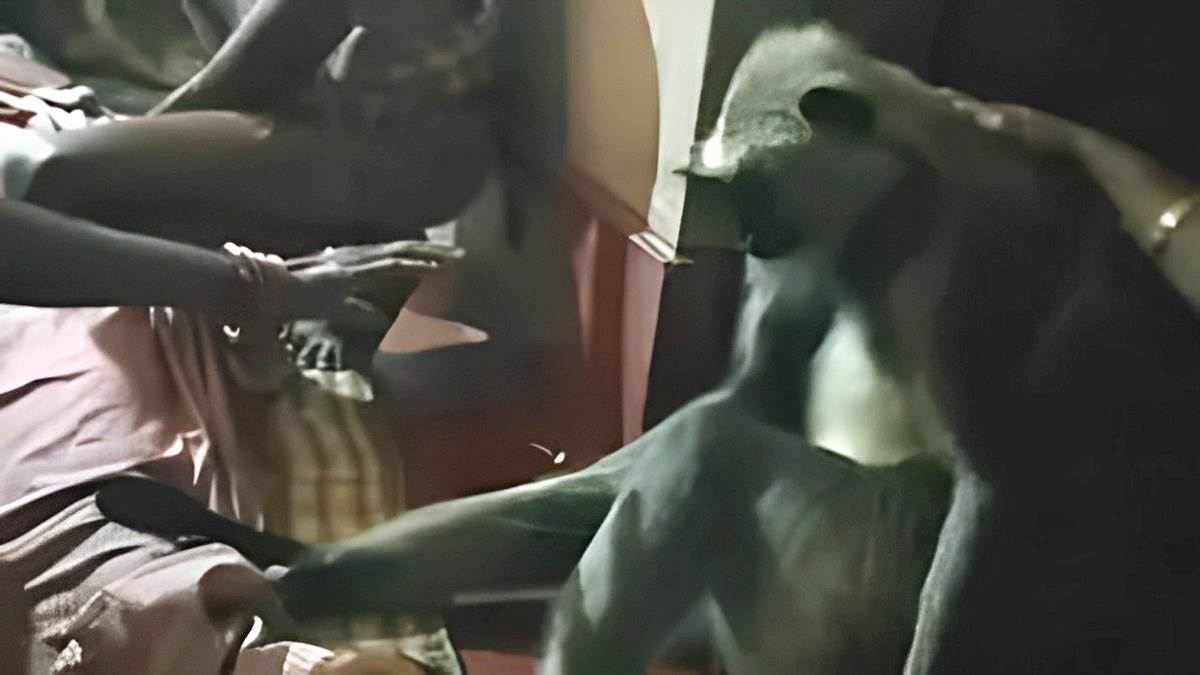https://www.jagranimages.com/images/newimg/05032023/05_03_2023-odisha_baboon_23347787.jpg