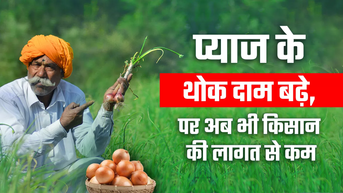 प्याज की औसत लागत 10-12 रुपये किलो जबकि औसत मंडी भाव 7.5 रुपये, इन दिनों निर्यात की मांग भी कम