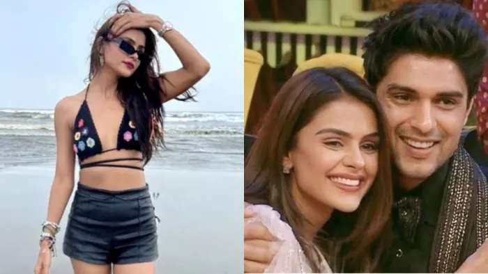 File Photo of Priyanka Chahar Choudhary and Ankit Gupta