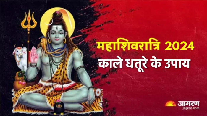 Mahashivratri 2024 महाशिवरात्रि की पूजा में जरूर शामिल करें ये एक चीज।