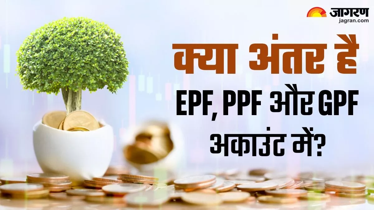 EPF, PPF और GPF अकाउंट में क्या अंतर है, किसमें मिलता है क्या फायदा, जानिए ये काम की बात