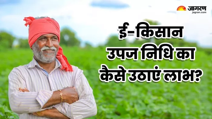 रकम और ब्याज चुनने का विकल्प भी मिलेगा।