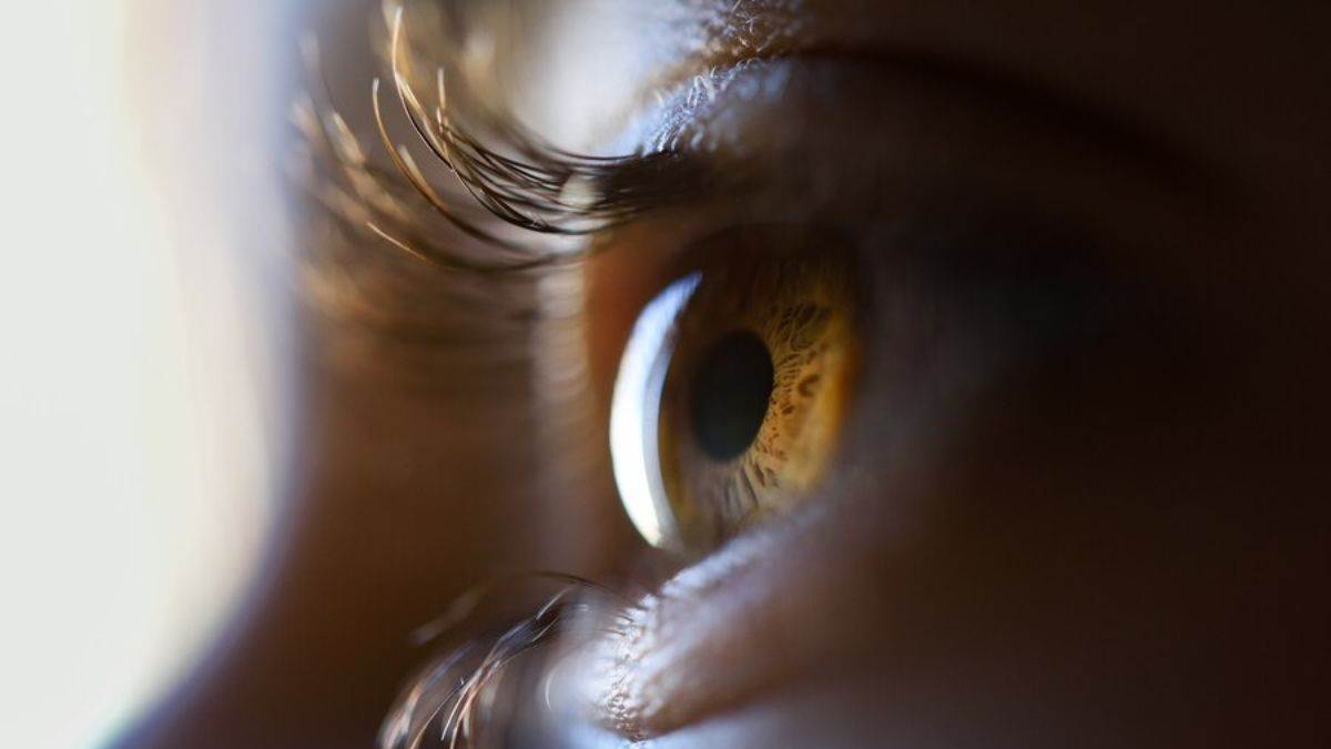 https://www.jagranimages.com/images/newimg/05032024/05_03_2024-world-glaucoma-day_23667649.jpg