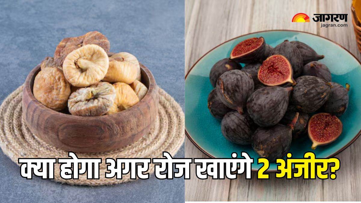 https://www.jagranimages.com/images/newimg/05032025/05_03_2025-figs_benefits_23894931.jpg