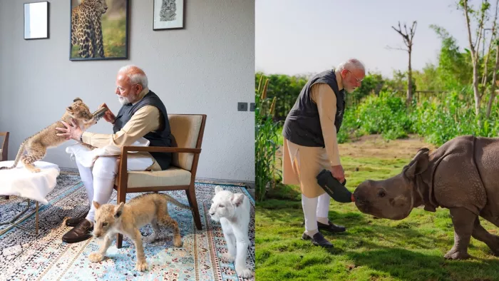 पशु बचाव, संरक्षण और पुनर्वास केंद्र 'वनतारा' गए थे पीएम मोदी ( फोटो-एक्स)