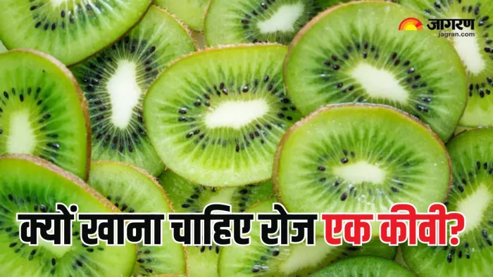 रोज एक Kiwi खाने से दूर भाग जाएंगी 10 परेशानियां (Picture Courtesy: Freepik)