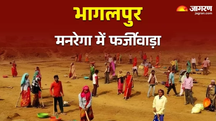 मनरेगा में बड़ा घोटाला, फोटो किसी और मजदूर का; काम कर रहा कोई और