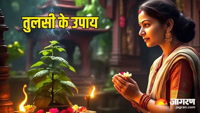 Holi 2025 Tulsi Upay: होली पर आजमाएं ये उपाय (Pic Credit-AI)