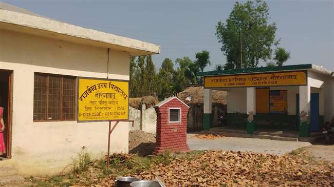 जाइलम जैविक फिल्टर से पानी को आरओ की तरह शुद्ध किया जा सकता है।