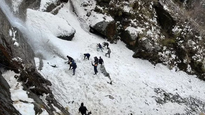 Sikkim Avalanche: हिमस्खलन में फंसे पर्यटकों को खोजने के लिए बचाव अभियान जारी, अब तक 7 पर्यटकों की मौत