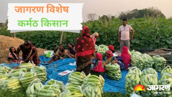 प्रगतिशील किसान वीरेंद्र चौरसिया ने नाबार्ड के सहयोग से कपंनी का गठन किया।