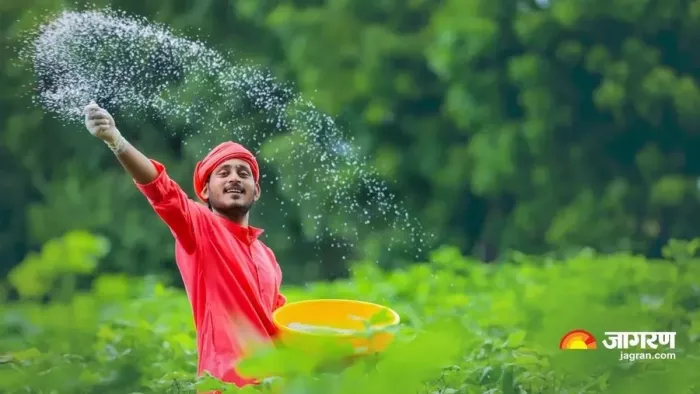 भारत को सालाना लगभग 350 लाख टन यूरिया की जरूरत होती है।