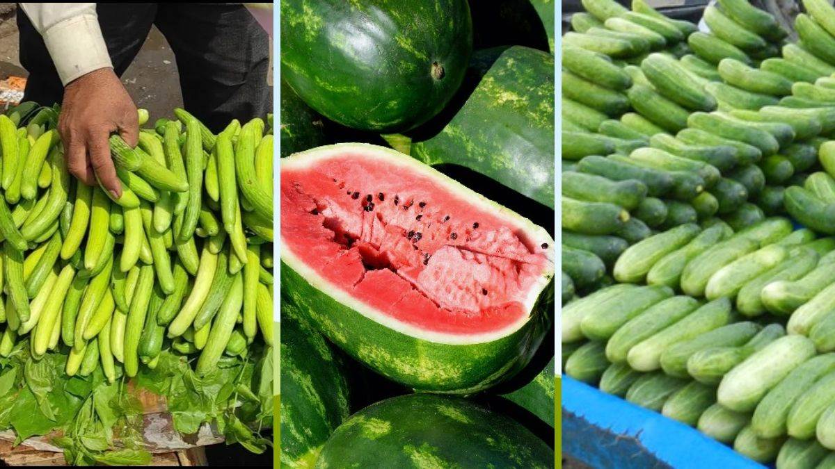 https://www.jagranimages.com/images/newimg/05042024/05_04_2024-watermelons_cucumbers_and_kakadi_23690350.jpg