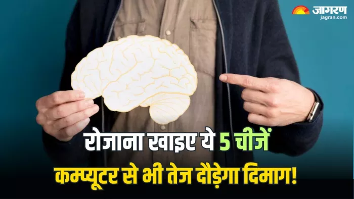 दिमाग को तेज बनाएंगे ये फूड्स, बढ़ती उम्र में याददाश्त नहीं होगी कमजोर