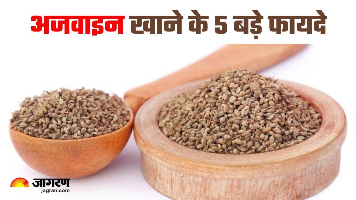 https://www.jagranimages.com/images/newimg/05042025/05_04_2025-benefits_of_eating_ajwain_at_night_23912731.jpg