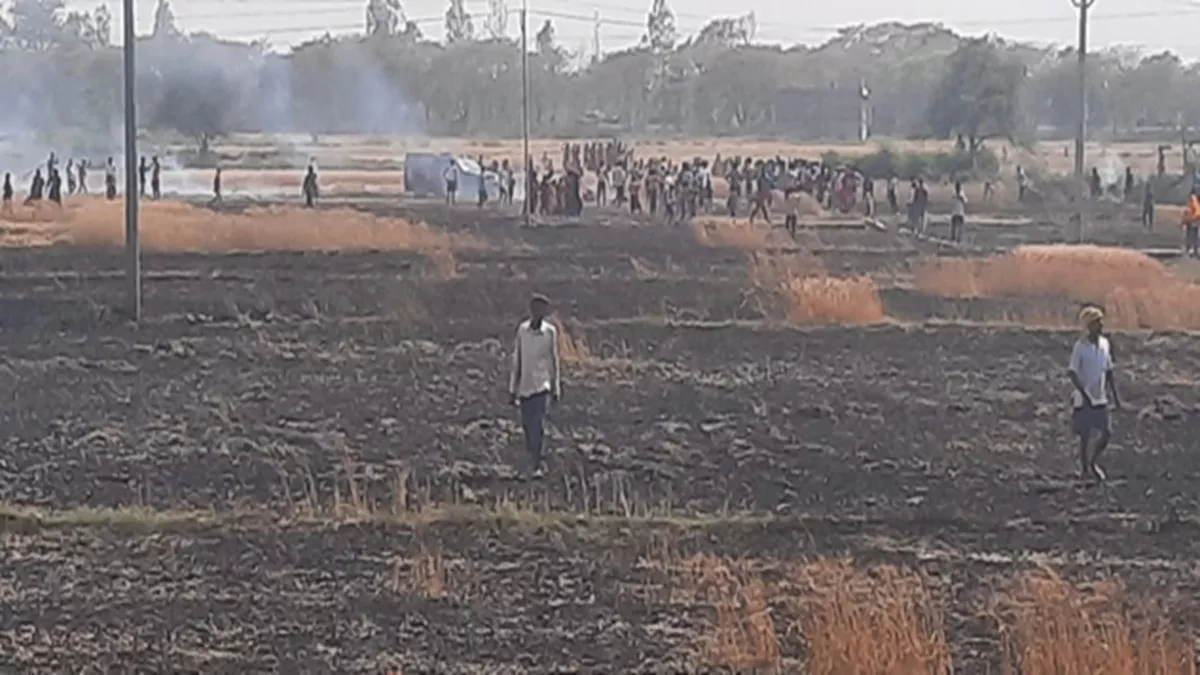 Chhapra News: छपरा में इस जगह 13 बीघे गेहूं की फसल में लगी भीषण आग, देखकर रोने लगे किसान; मच गया हाहाकार