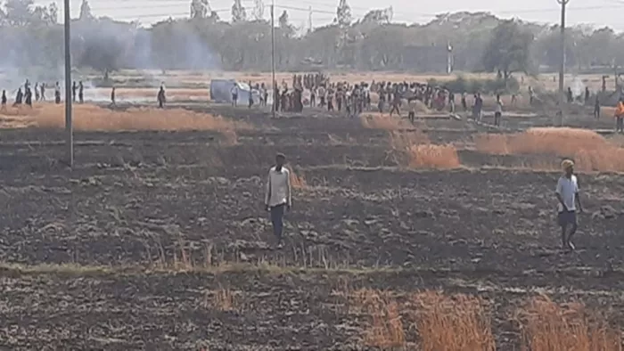 छपरा के मशरक में 13 बीघे खेत में लगी आग (जागरण)
