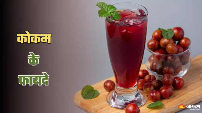 गर्मियों में कोकम खाने से सेहत को मिलेंगे 5 फायदे। (Image Credit- Freepik)