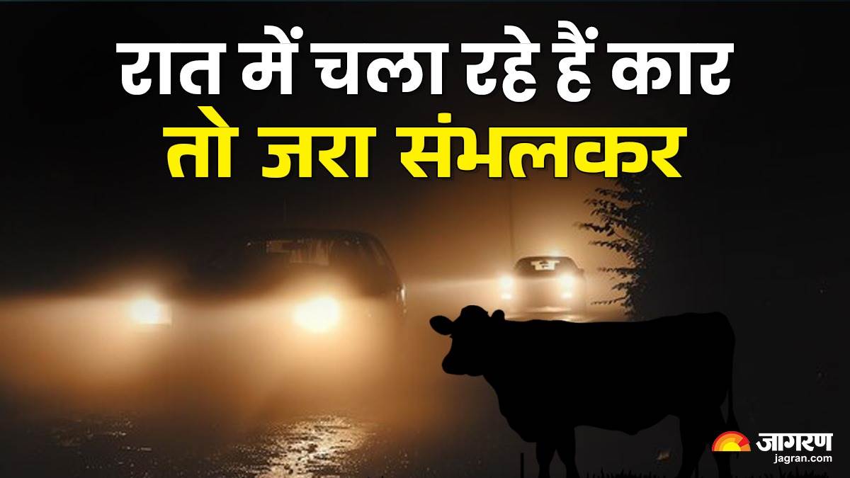 https://www.jagranimages.com/images/newimg/05042025/05_04_2025-night_driving_safety_23912109.jpg