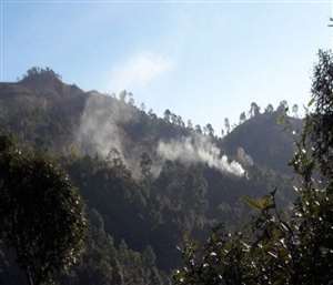 Ceasefire Violation: पाक ने चार माह में 1450 बार तोड़ा युद्धविराम, कोराना काल में बढ़ी हैं साजिशें 