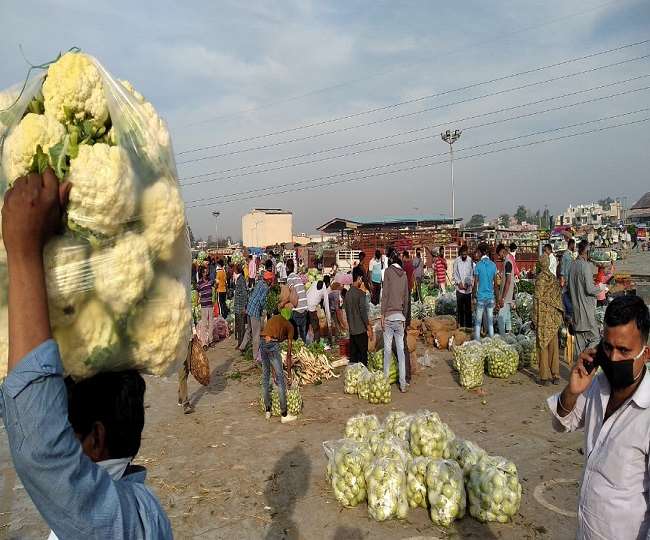 आढ़ती बोलेप्रतापपुरा नहीं, बर्ल्टन पार्क या पुरानी सब्जी मंडी बेहतर