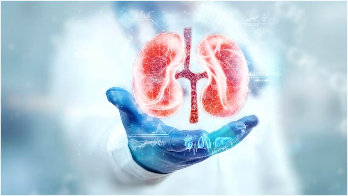 https://www.jagranimages.com/images/newimg/05052023/05_05_2023-kidney_23403600.jpg