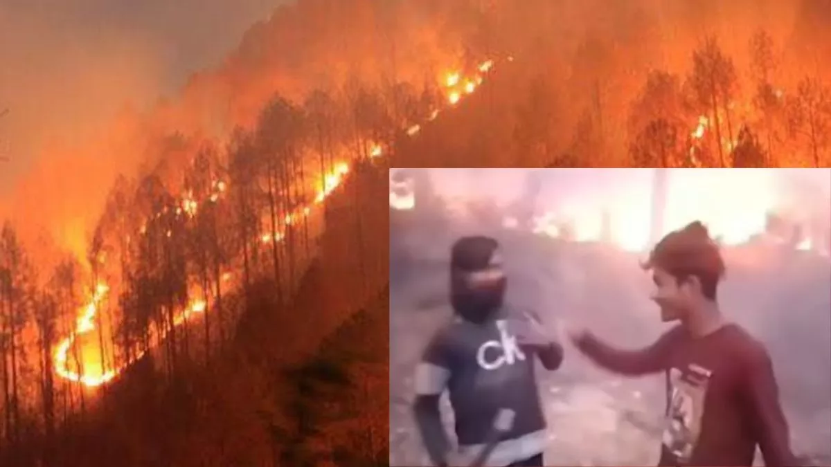 'हमारा काम है आग लगाना और…', जंगल में आग लगाने के बाद रील बनाना पड़ा भारी, बिहार के तीनों युवक गिरफ्तार