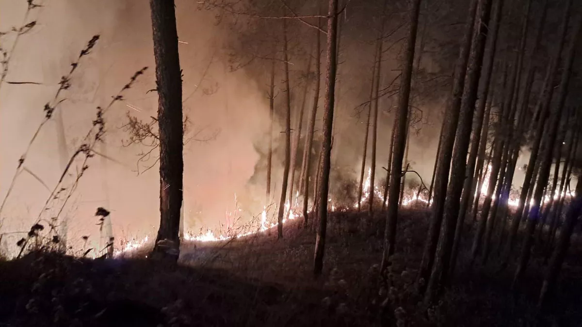 Uttarakhand Forest Fire: जंगलों का खाक होना जारी, आग बुझाने के दौरान एक और मौत; दो झुलसे