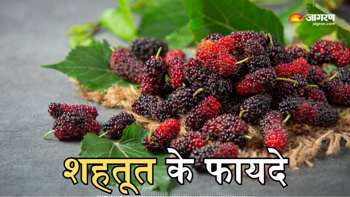 amazing health benefits of mulberry shahtoot khane ke fayde