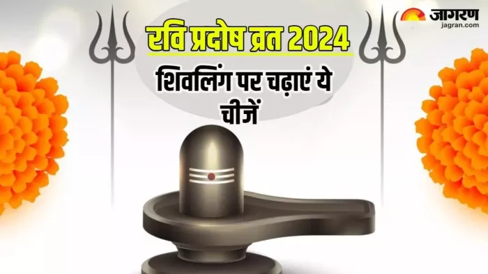 Ravi Pradosh Vrat 2024: शिवलिंग पर अर्पित करें ये चीजें, कर्ज की समस्या होगी छूमंतर