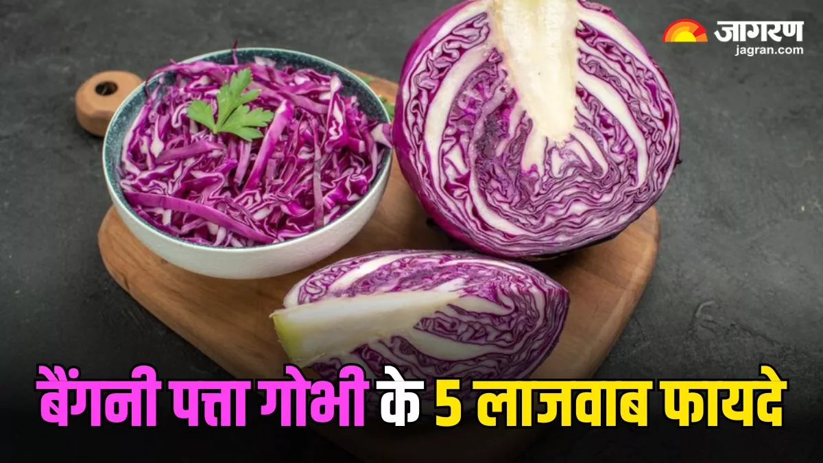 Purple Cabbage: बैंगनी पत्ता गोभी में है पोषक तत्वों का खजाना, वेट लॉस से लेकर डायबिटीज तक में देती है फायदा