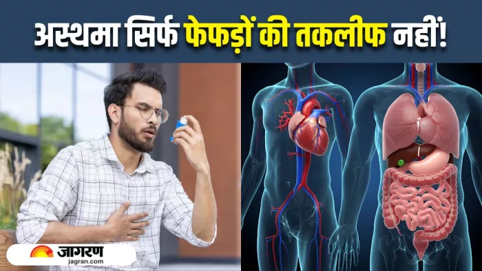 आपके हार्ट और पाचन तंत्र को भी कमजोर कर सकता है अस्थमा (Image Source: Freepik)