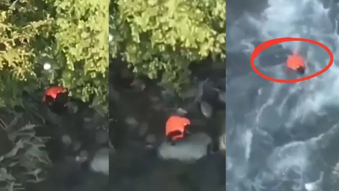 VIDEO: पहलगाम के आतंकियों को खाना पहुंचाने वाले ने नाले में छलांग लगाकर दी जान, पुलिस की कार्रवाई से डर गया था आरोपी - In Kulgam an aide of the terrorists of