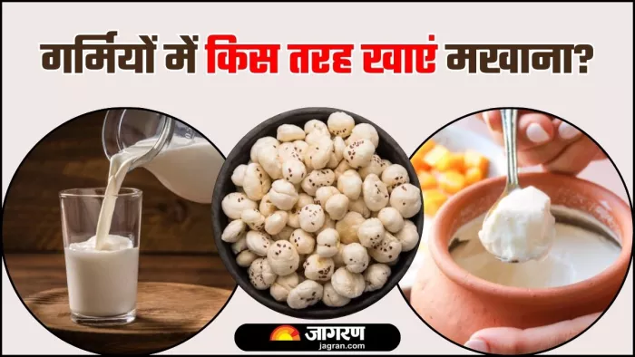 Makhana with Milk or Curd: गर्मियों में मखाना दही के साथ खाएं या फिर दूध के साथ? (Image Source: Freepik)