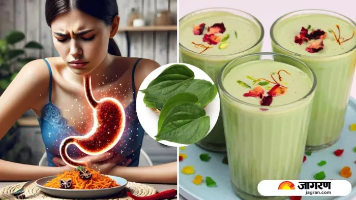 Paan Sharbat Recipe: रात के खाने के बाद ट्राई करें पान का शरबत, गैस-एसिडिटी से मिलेगा छुटकारा (Image: AI-Freepik)