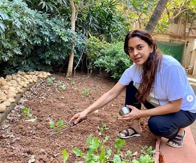 World Environment Day : स्वर्ग से कम नहीं है इंडिया से बाहर जूही चावला का घर, जहां होती है ऑर्गेनिक खेती