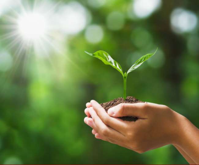 World Environment Day 2020: खुद के साथ पर्यावरण को भी रखें स्वच्छ इन आसान उपायों के साथ