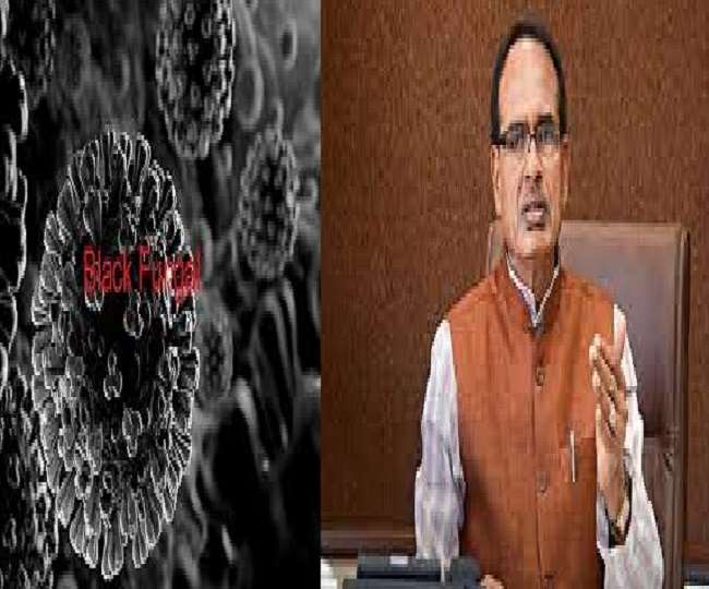 मध्य प्रदेश सरकार ने ब्लैक फंगस की दवा के उत्पादन करने के लिए जारी किया लाइसेंस