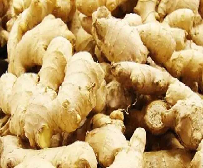 पहाड़ी पेड़ की जड़ को कच्ची अदरक बताकर बेचा जा रहा है।